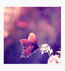 Fly Away Photographic Print