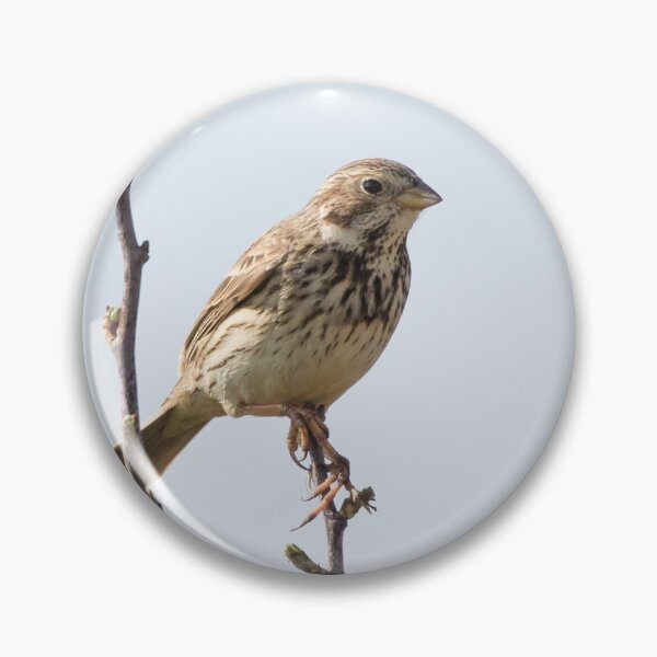 Item preview, Corn Bunting designed and sold by LaurenTucker.
