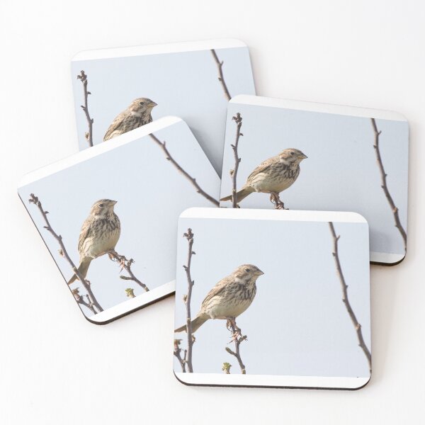 Item preview, Corn Bunting designed and sold by LaurenTucker.