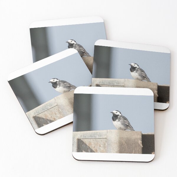 Item preview, Pied Wagtail designed and sold by LaurenTucker.