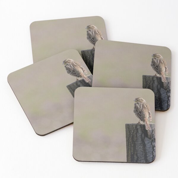 Item preview, Corn Bunting designed and sold by LaurenTucker.