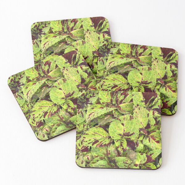 Item preview, Bermuda Rose Tropical Flowers Feel Good Hot Summer Days designed and sold by prohockeylabs.
