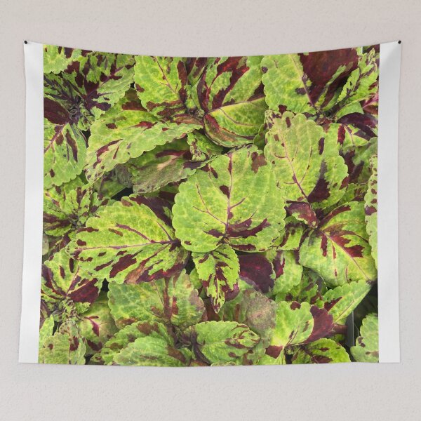 Item preview, Bermuda Rose Tropical Flowers Feel Good Hot Summer Days designed and sold by prohockeylabs.