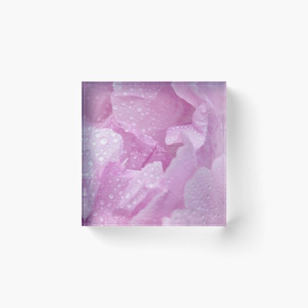Item preview, Pink rose petals in the rain designed and sold by Yogawoman.