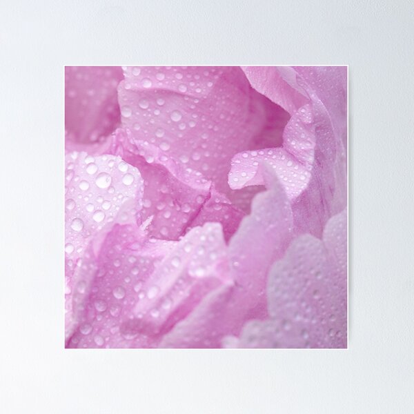 Item preview, Pink rose petals in the rain designed and sold by Yogawoman.