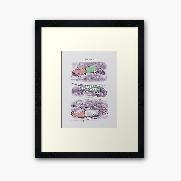 Framed Art Print