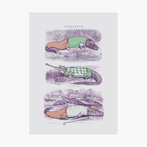 Golf Buddies Photographic Print