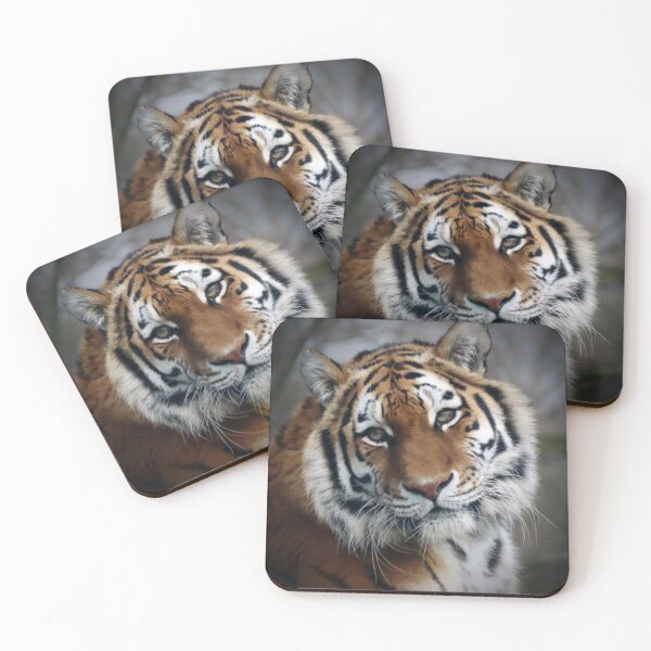 Item preview, A Beautiful Amur Tigress designed and sold by Karen Thomson.