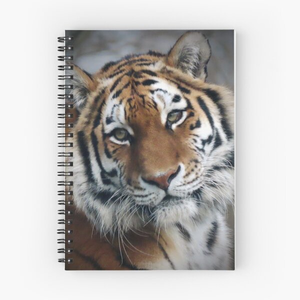 Item preview, A Beautiful Amur Tigress designed and sold by Karen Thomson.