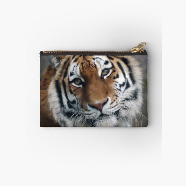 Item preview, A Beautiful Amur Tigress designed and sold by Karen Thomson.