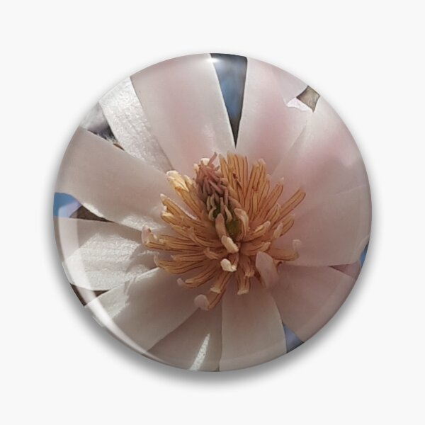 Item preview, Sweetness of Magnolia ... designed and sold by ChrisJ357.