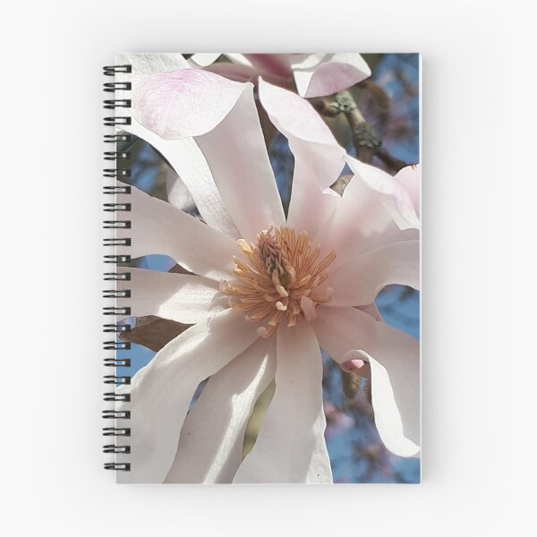 Item preview, Sweetness of Magnolia ... designed and sold by ChrisJ357.