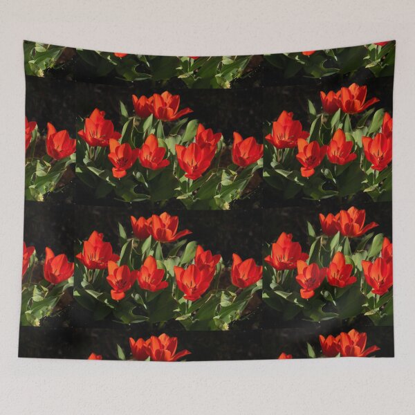 Item preview, Is It Red Or Orange? designed and sold by metriognome.