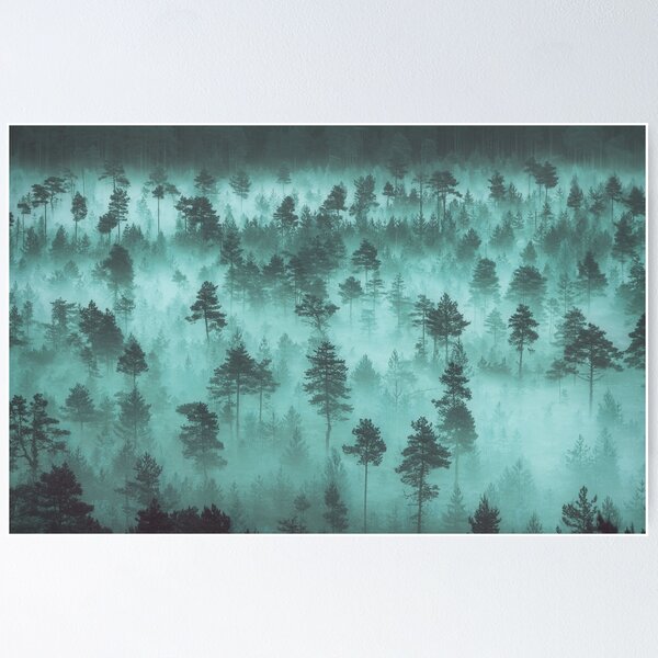 Item preview, pine forest in the mountains in the fog designed and sold by ilyasovkamil.
