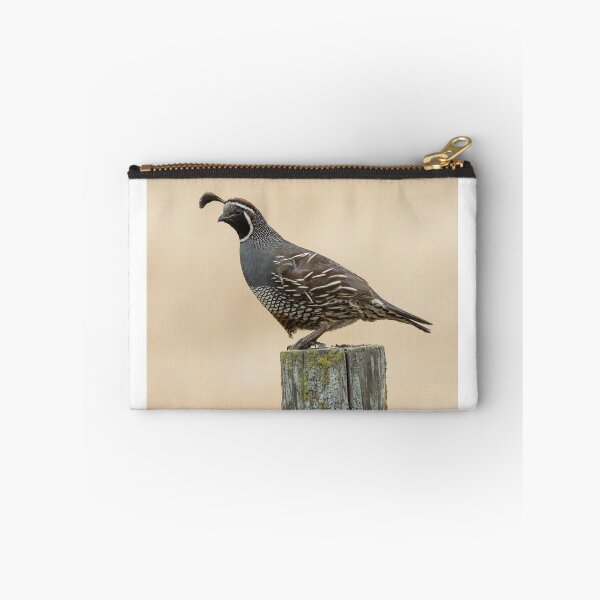 Item preview, Quail on a post designed and sold by Anthony Brewer.