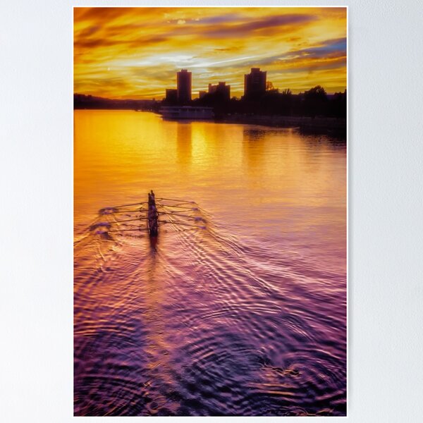 Item preview, Rowing for Gold designed and sold by Owed To Nature.