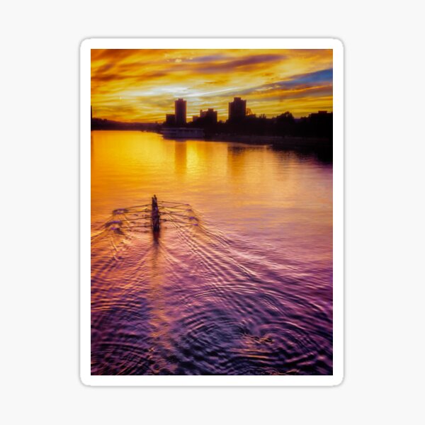 Rowing for Gold Sticker