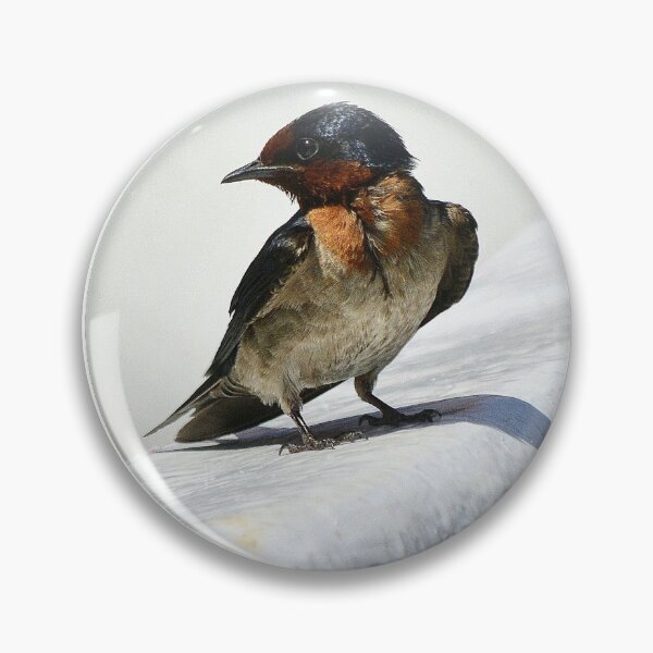 Item preview, sing bird designed and sold by bohemianpick.
