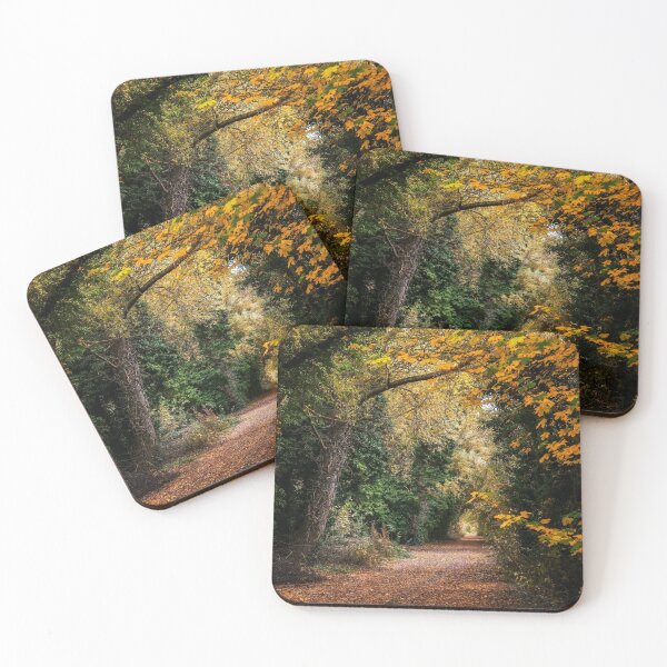 Item preview, Autumn Trail  designed and sold by ScenicViewPics.