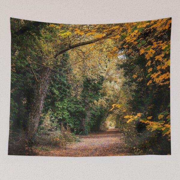 Item preview, Autumn Trail  designed and sold by ScenicViewPics.