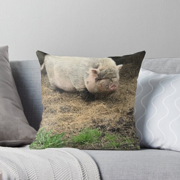 Item preview, Burger the pig designed and sold by JurassicLegends.