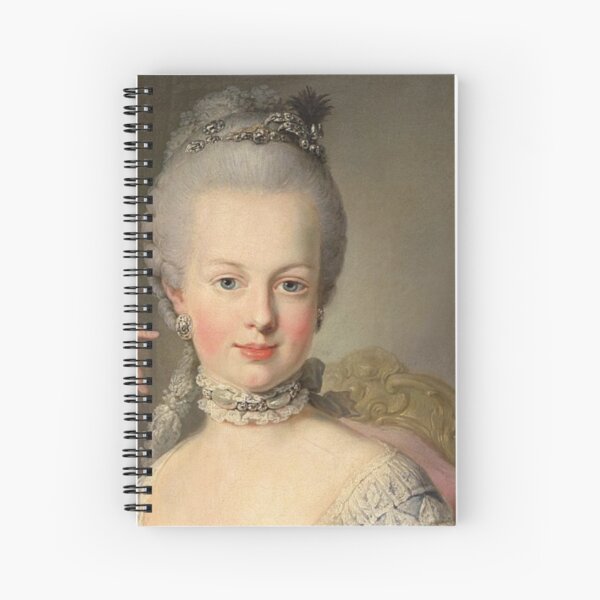 FAST DELIVERY MADE IN AMERICA MARIA ANTOINETTE Miniature Dollhouse Art Picture 