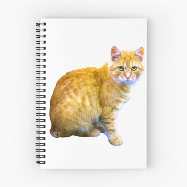 Item preview, CAT PHOTOGRAPHIC ON HOLD designed and sold by Mayne21.