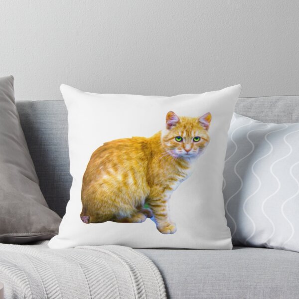Item preview, CAT PHOTOGRAPHIC ON HOLD designed and sold by Mayne21.