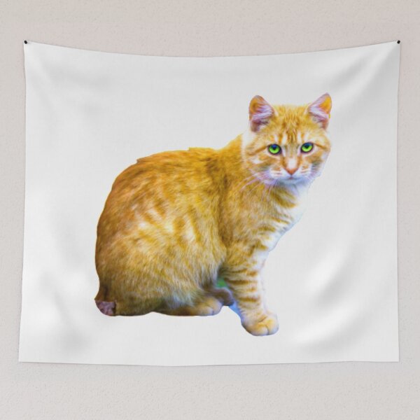 Item preview, CAT PHOTOGRAPHIC ON HOLD designed and sold by Mayne21.