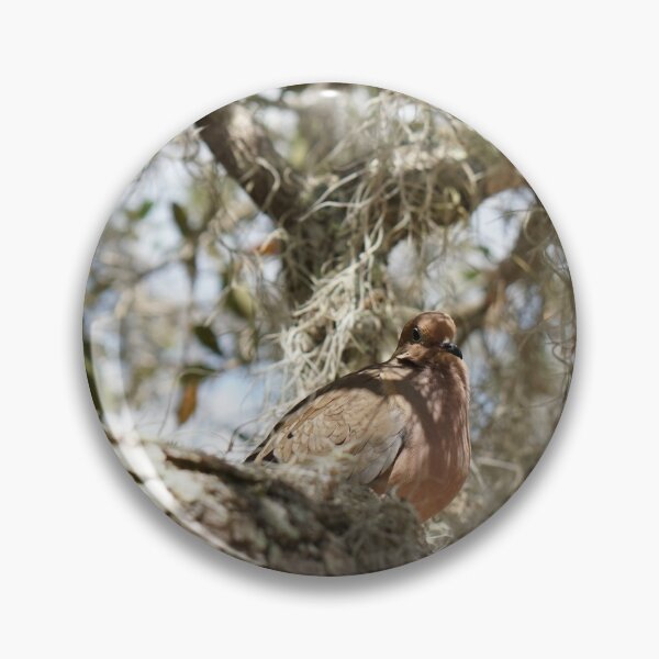 Item preview, turtle dove in live oak tree  designed and sold by distracted.