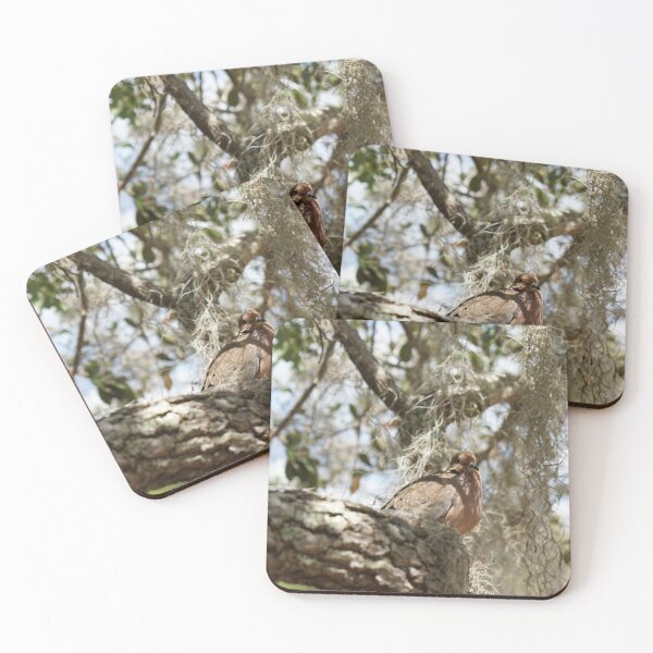 Item preview, turtle dove in live oak tree  designed and sold by distracted.