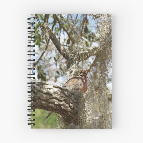 Item preview, turtle dove in live oak tree  designed and sold by distracted.