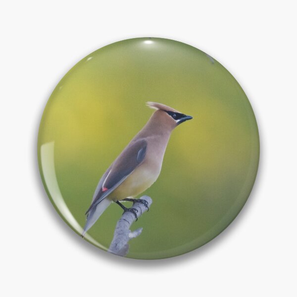 Item preview, Waxwing designed and sold by vasu.
