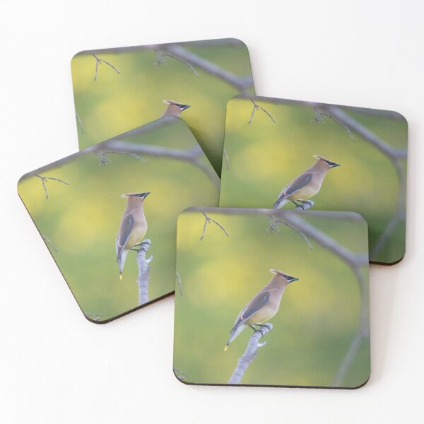 Item preview, Waxwing designed and sold by vasu.