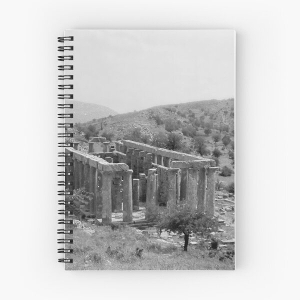 Item preview, Temple of Apollo Epicurius, Bassae, Greece  designed and sold by Priscilla Turner.