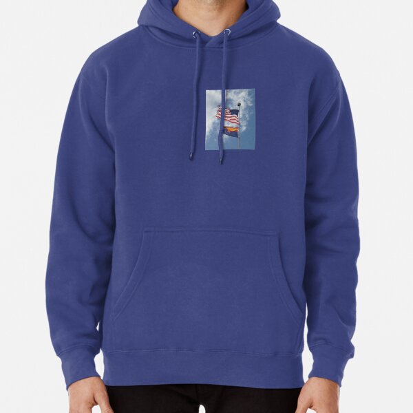 champion mylar blue hoodie