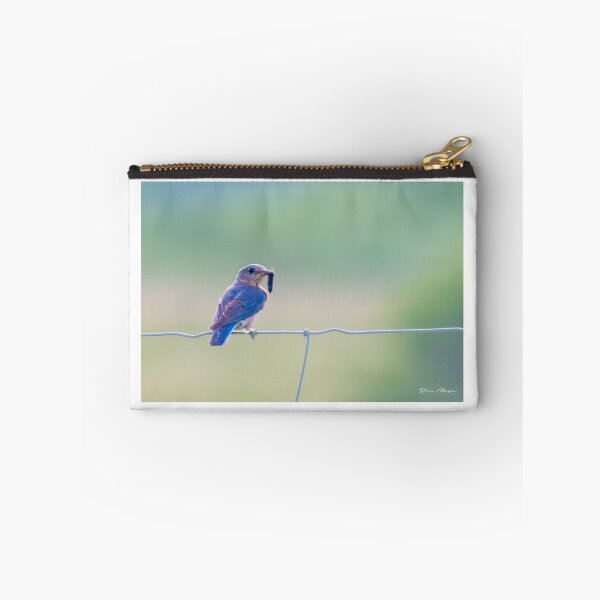 Artikelvorschau, Bluebird entworfen und verkauft von vasu.