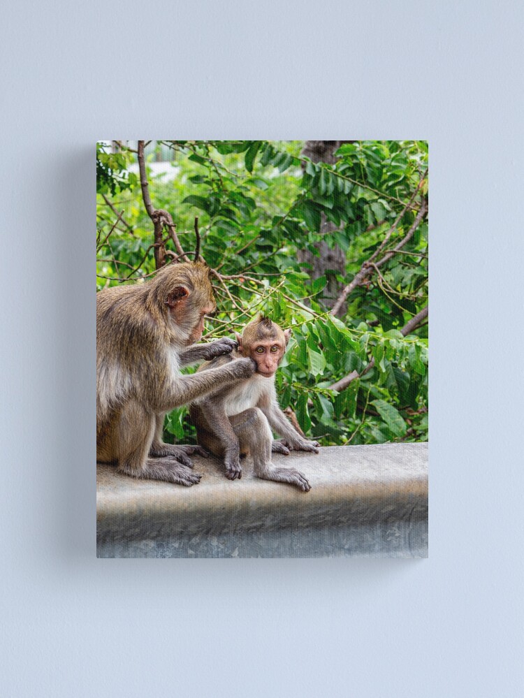 Thumbnail 1 of 3, Canvas Print, Cleanliness is a State of Purity designed and sold by darren-j-mcleod.