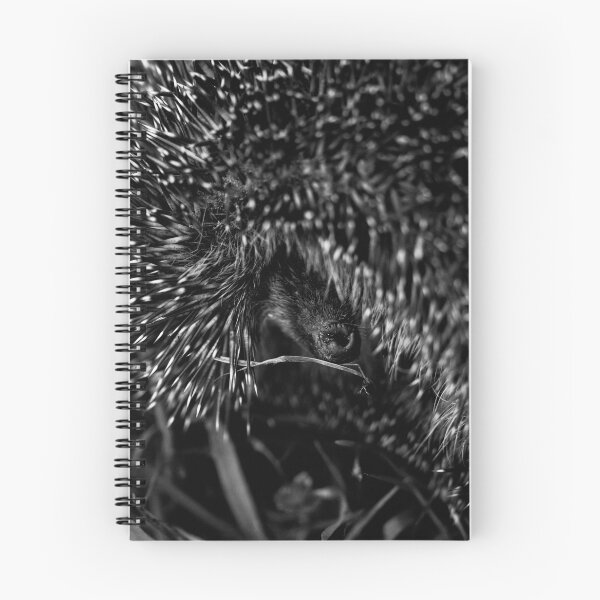 Aperçu de l'œuvre hérisson noir et blanc créée et vendue par devil0035.