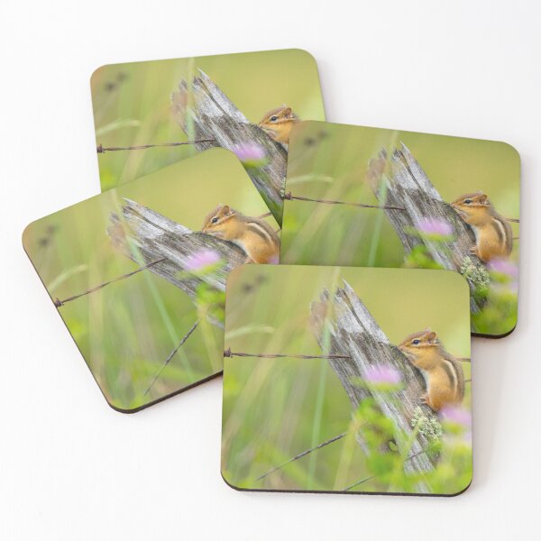 Item preview, Store designed and sold by vasu.