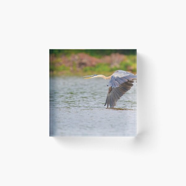 Item preview, BlueHeron! designed and sold by vasu.