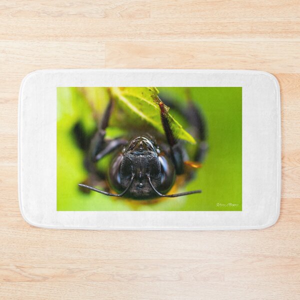 Item preview, Closeup of Bumble Bee! designed and sold by vasu.