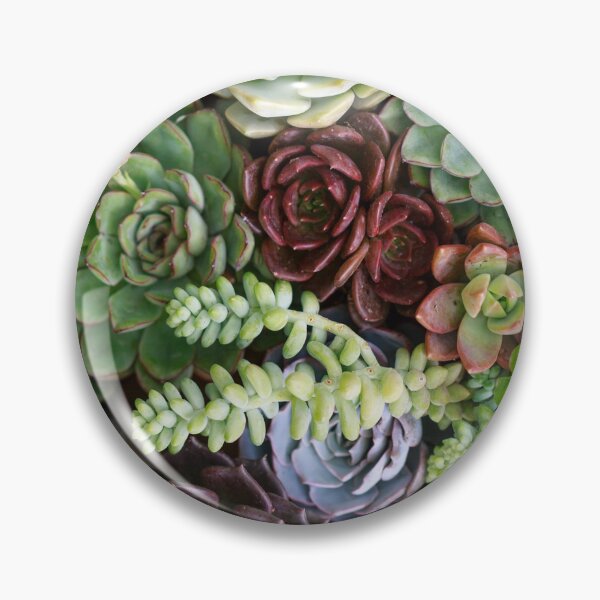 Item preview, Succulents Garden designed and sold by CS Cairo.