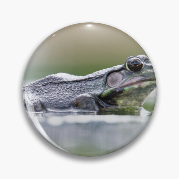 Item preview, BullFrog! designed and sold by vasu.