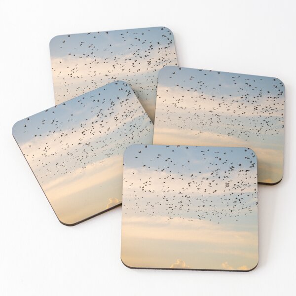 Item preview, Starlings! designed and sold by vasu.