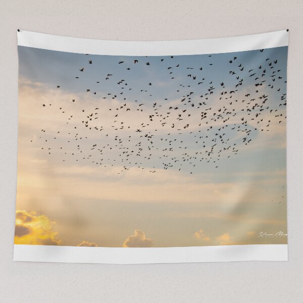 Item preview, Starlings! designed and sold by vasu.