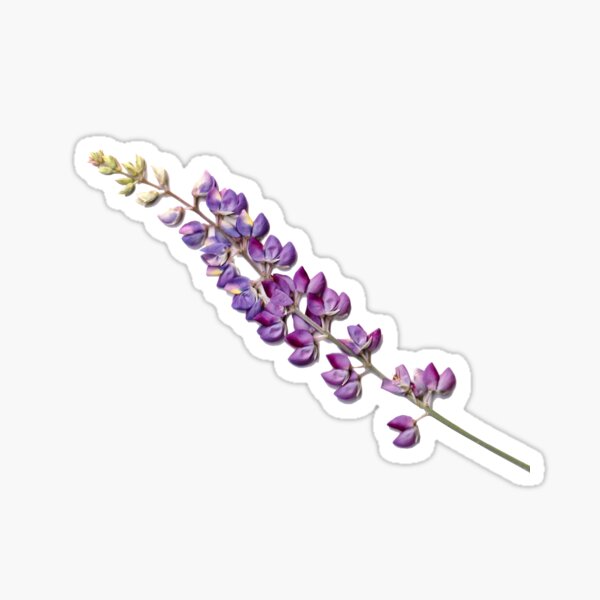 Item preview, Lupine Series 2021 designed and sold by Simply Sierra Style.