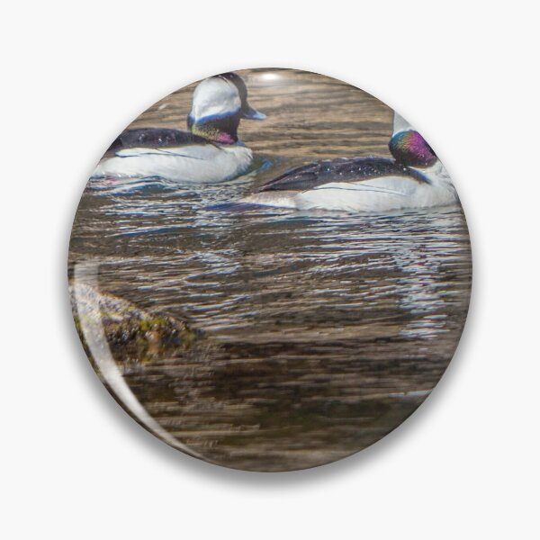 Item preview, Eagle Crest Oregon, Spring, Ducks,  designed and sold by DAM Creative ⭐⭐⭐⭐⭐.