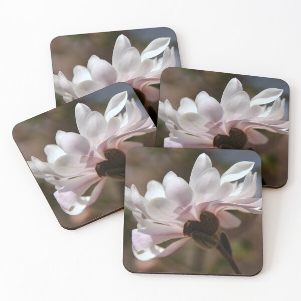 Item preview, Star Magnolia Glorious designed and sold by Poete100.