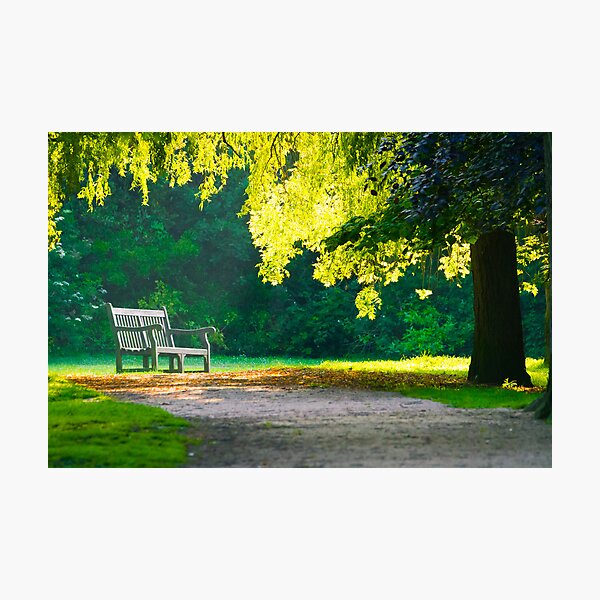 A lonely bench Photographic Print